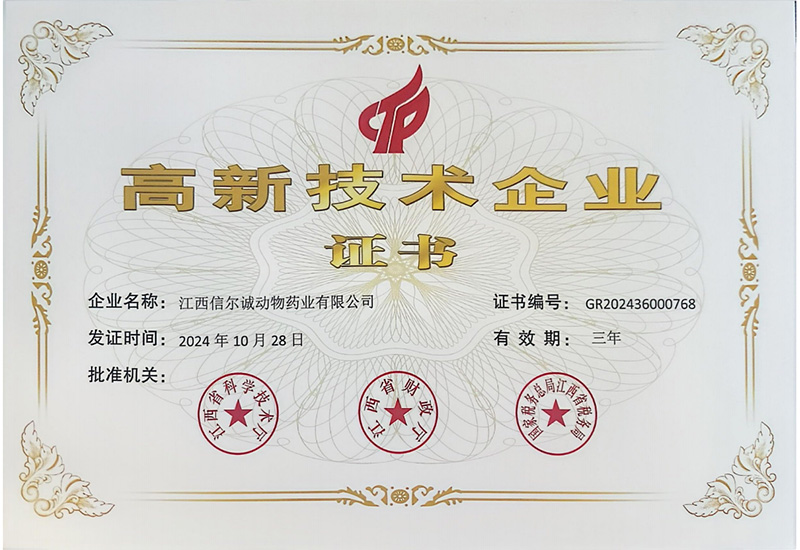 高新技术企业证书